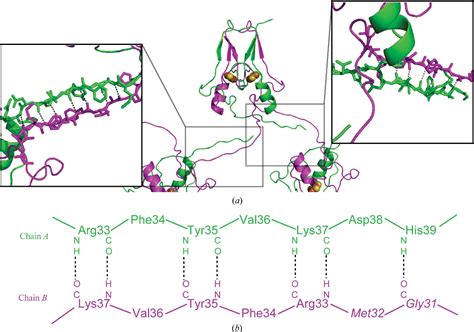 Figure 2 From Structural Biology And Crystallization Communications The