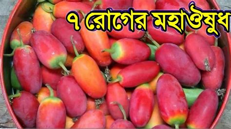 শুধুমাত্র এই ফল একবার খেলেই ডায়াবেটিস নির্মূল হবে চিরতরে জ্বর