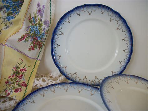 Rare Antique Flow Blue China Plates Set Of 3