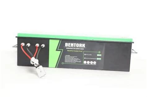 Bentork V Ah Lithium Ferro Phosphate Battery For Electric