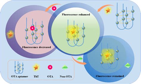 Figure From Molecular Docking Insight Into The Label Free