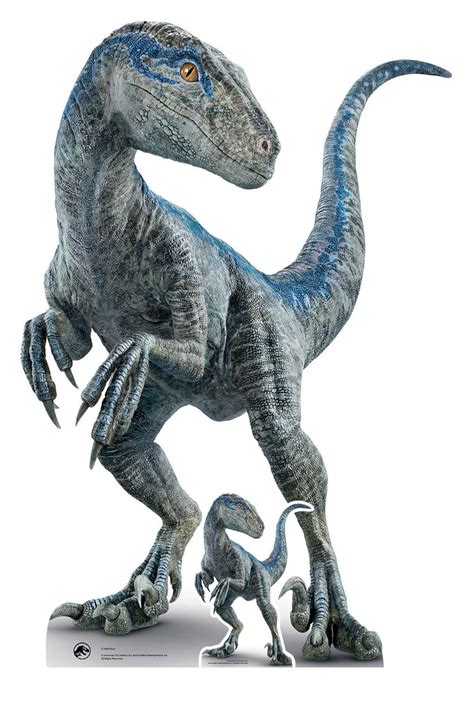 Jurassic World Large Basic Velociraptor Blue | ubicaciondepersonas.cdmx.gob.mx