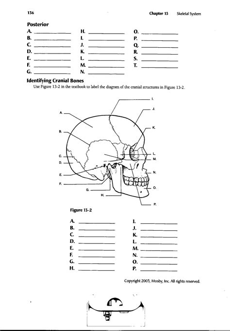 Printable Anatomy Labeling Worksheets Pin On Printable Worksheet ...