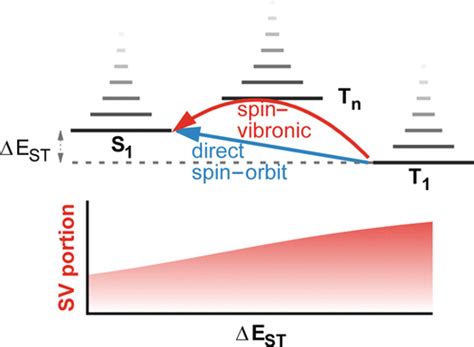 Spin Vibronic Model For Quantitative Prediction Of Reverse Intersystem