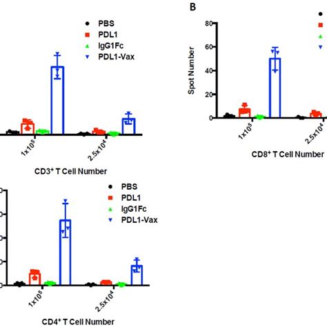 Induction Of PD L1 Specific CD4 Th And CD8 CTL Responses Groups Of