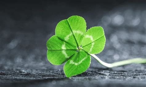 pinning   unique selling proposition  ideas