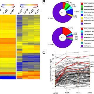 A Heat Maps Showing Expression Values Of All P Gigantea Genes