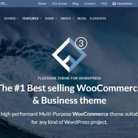 Best Woocommerce Themes In Eslam Mo S Web Portfolio