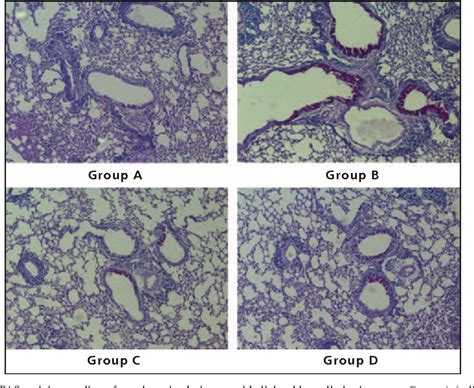 Figure 1 From The Effect Of Formoterol On Airway Goblet Cell