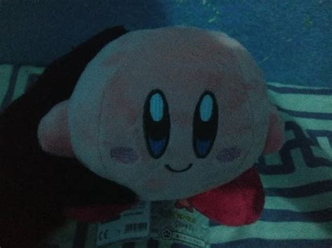 My Kirby Plush has arrived today! : r/Kirby