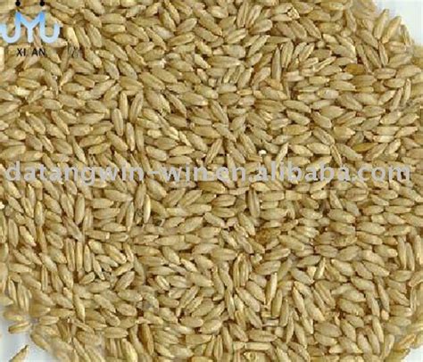 Naked Oats China Jyj Price Supplier Food