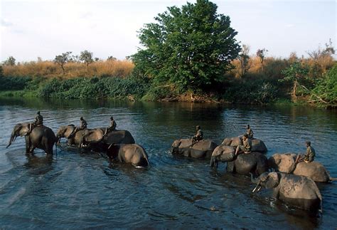 Garamba National Park Democratic Republic Of The Congo Unesco World Heritage Site