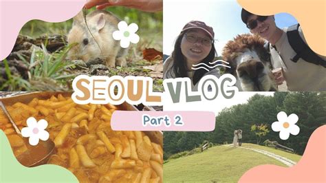 Seoul Vlog Pt 2 Alpaca World Nami Island Aquafield Mangwon Market