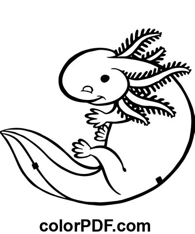 Axolotl Divertente Disegni Da Colorare E Libri In PDF