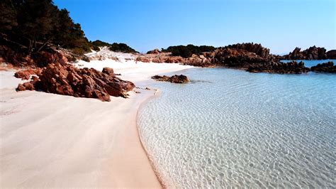 Most beautiful beaches of the Maddalena Archipelago | Beautiful beaches, Beach, Most beautiful ...