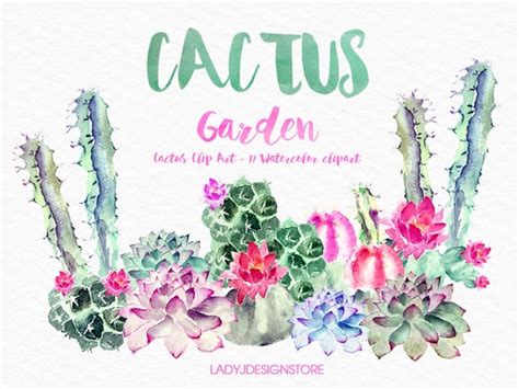 Cactus Clipart 17 Watercolor Clipart Cacti Plants For Invitations