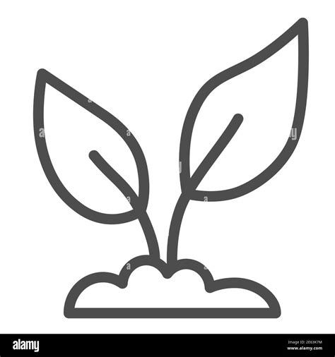 Seedling In A Soil Line Icon Ecology Concept Small Sprout With Two