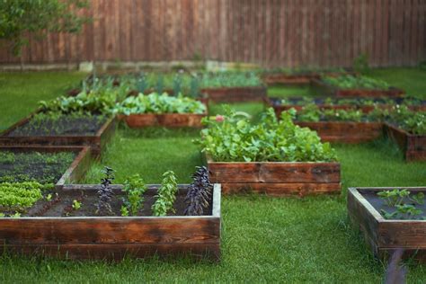 Gardener Explains How To Easily Build A Raised Garden Bed Out Pallet