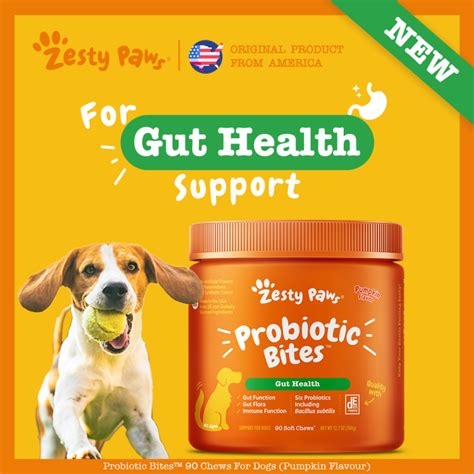 Zesty Paws Probiotic Bites For Dogs Gut Health Pumpkin Flavor 90