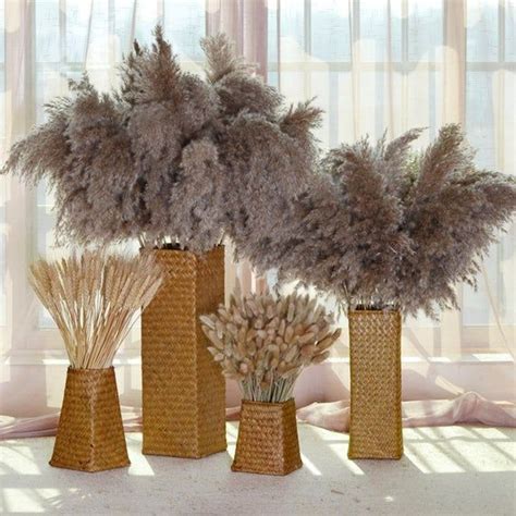 Pampas Grass Natural Dried Pampas Grass Decor Reed Plume Dry Boho