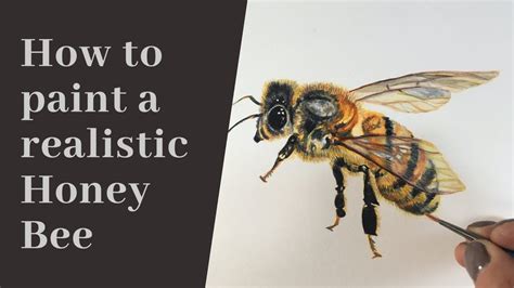 How To Paint A Realistic Honey Bee In Watercolour Youtube