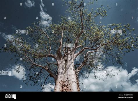 Variety Of The Images Stock Photo Alamy