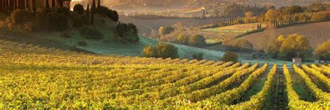 Mormoraia - Winery in Tuscany | Winetourism.com