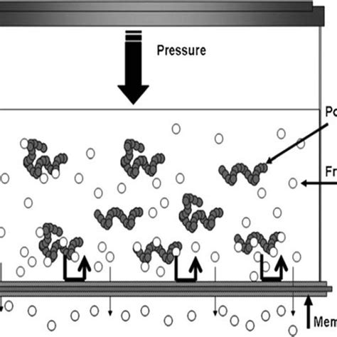 Principle of the LPR technique. | Download Scientific Diagram