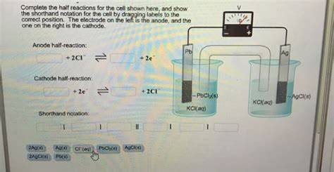 Solved Complete the half reactions for the cell shown here, | Chegg.com