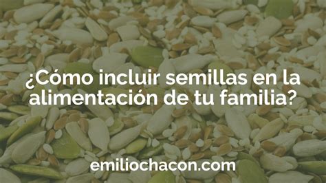 Art Culos Informativos Sobre Alimentaci N Familiar