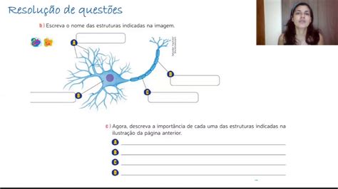 Ciências Exercícios sistema nervoso central 8 ano YouTube