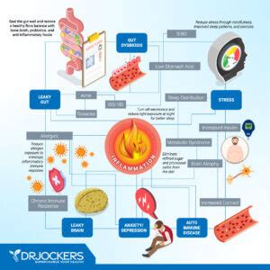 CIRS: Causes, Symptoms and Solutions - DrJockers.com