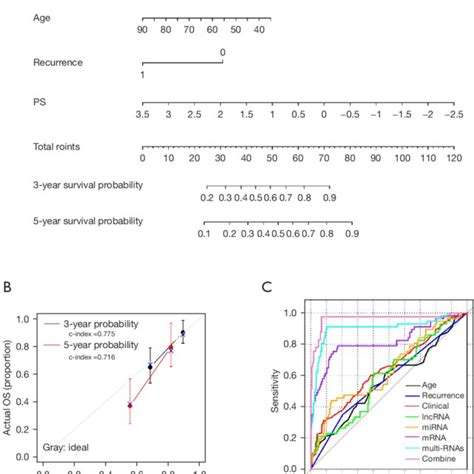 Km Survival Plots A Left Km Curve Plot Of Age And Survival