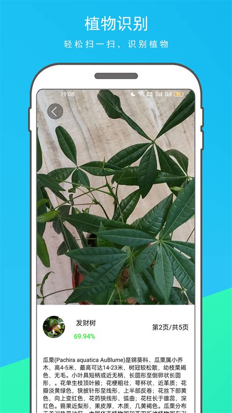 植物鉴别app排行榜前十名 植物鉴别app哪个好用对比