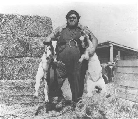 Image Haystacks Calhoun 3 Pro Wrestling Fandom Powered By Wikia