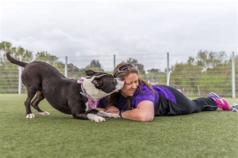 Animal Foster Programs | Contra Costa County, CA Official Website