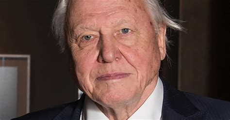 Sir David Attenborough Wins Champions Of The Earth Award