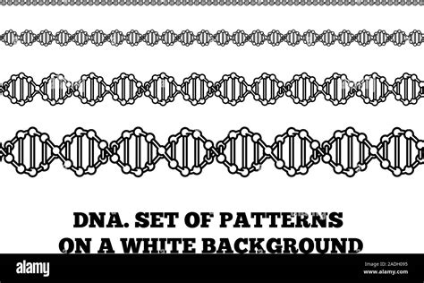 Dna Structure Deoxyribonucleic Acid Vector Illustration On White Stock Vector Image And Art Alamy