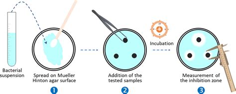 Schematic representation of the disk diffusion method of Kirby and Bauer | Download Scientific ...