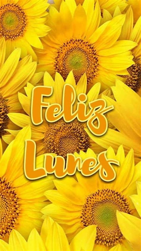 Yellow Sunflowers With The Words Feliz Lunes On Them