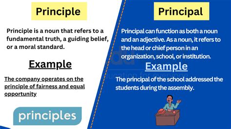 Principle Vs Principal Difference Between And Examples