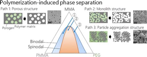 Microporous Structure Formation Of Poly Methyl Methacrylate Via Polymerization Induced Phase