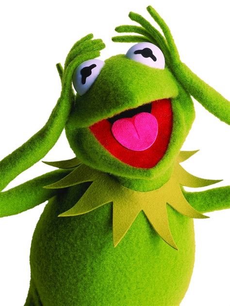 1000+ images about kermit on Pinterest | Kermit the frog puppet, Wonder ...