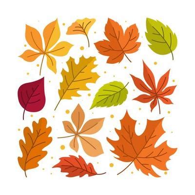 Fall Leaves Vector Art, Icons, and Graphics for Free Download