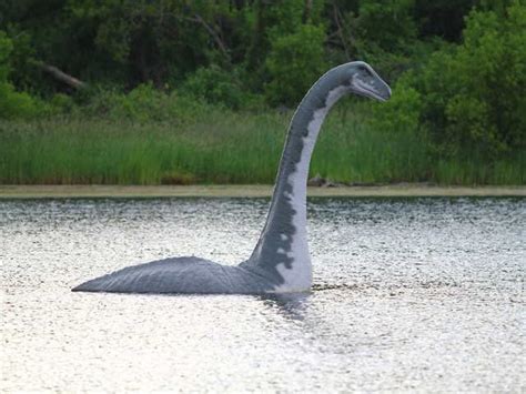 A video of the second “confirmed” appearance of Nessie appeared on the ...