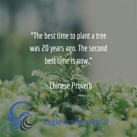 The Best Time To Plant A Tree Was 20 Years Ago The Second Best Time