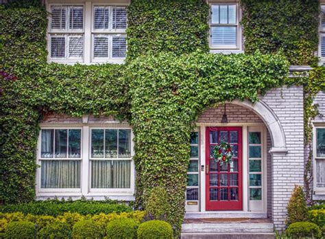 Vine Covered Entrance To White Painted Brick House With Arched Front