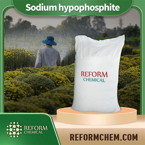 Sodium hypophosphite - NANTONG REFORM PETRO-CHEMICAL CO., LTD.