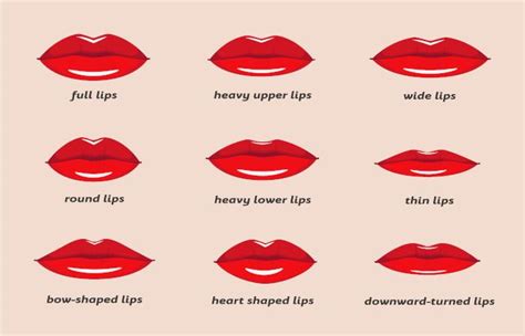 What Are The Different Lip Shapes And How Do You Enhance Them
