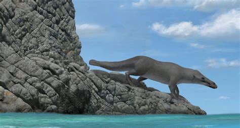 Scientists Discover Remains Of Ancient Four Legged Whale In Peru